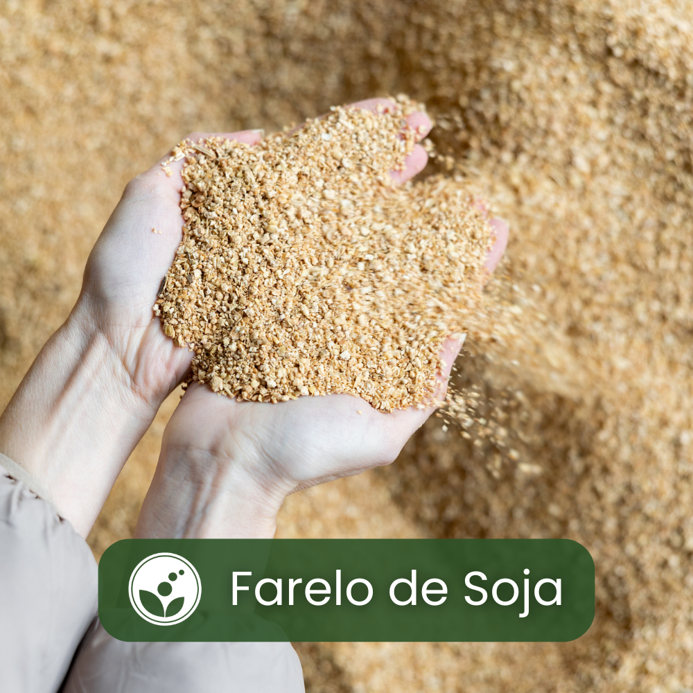 Farelo de Soja