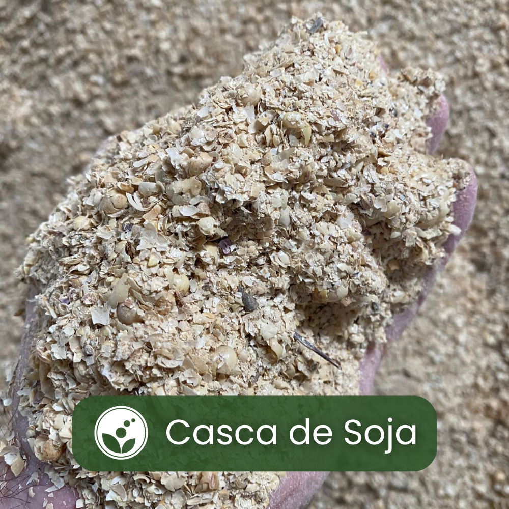 Casca de Soja